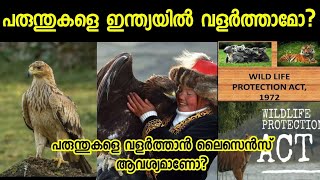 ഇന്ത്യയിൽ പരുന്തുകളെ വളർത്താമോCan we pet an eagle in India SVSennumeppozhumevideyum [upl. by Ordway]