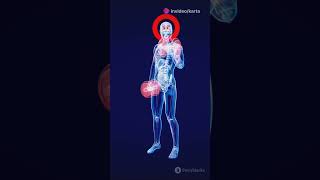 Steroids Corticosteroids AnabolicSteroids MedicalUses Inflammation MuscleGrowth HealthAwarene [upl. by Lledal]