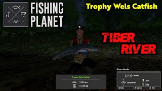 Trophy Wels Catfish Tiber River  Fishing Planet [upl. by Winnick]