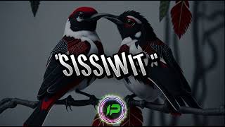 SISSIWIT LYRICS  IGOROT SONG [upl. by Hansel]