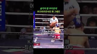 한국에서 열린 파퀴아오의 스페셜매치feat DKYOO mma boxing dkyoo [upl. by Annirac614]