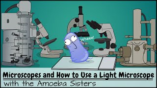 Microscopes and How to Use a Light Microscope [upl. by Elisabeth]