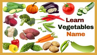 Vegetables Vocabulary ll 20 Vegetables Name in English With Pictures ll All Vegetables Names [upl. by Virgy]