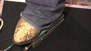 Ibanez WH10 plastic wah guitar pedal demo with Kingbee Strat amp Mojotone Plexi [upl. by Yenffad]