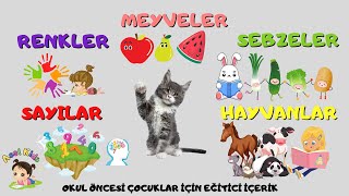 MEYVELER SEBZELER RENKLER SAYILAR VE HAYVANLARI ÖĞRENİYORUZ  ÇOCUKLAR EĞİTİCİ VİDEO [upl. by Eicnahc]