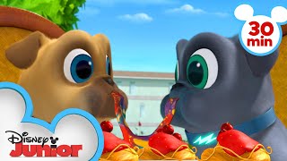 Bingo and Rolly Travel Across Europe  30 Minute Compilation  Puppy Dog Pals Disney Junior [upl. by Hufnagel549]