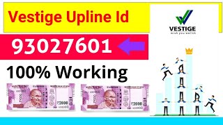 Vestige Upline Id  Vestige referral code  Vestige business plan in hindi [upl. by Adnerak439]