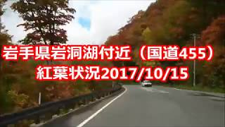 岩手県 岩洞湖周辺 国道455 紅葉状況 20171015 [upl. by Rikahs522]