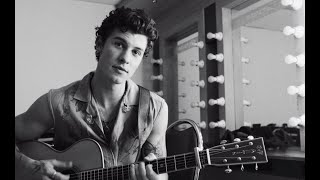 Shawn Mendes The Tour Part VI [upl. by Attenej]