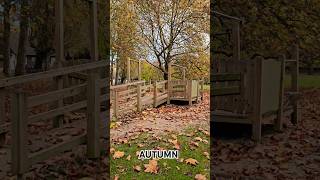 Autumn Ambience  Cozy Fall Atmosphere with Music [upl. by Anthe]