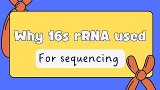 why 16s r RNA might be used in sequencing as a molecular marker [upl. by Ikir382]