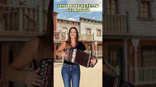 GALOPPINA  IRMA DI BENEDETTO  Organetto Abruzzese Accordion [upl. by Assilav]