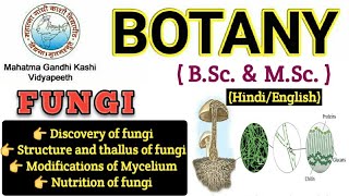 General Characteristics of FungiMyceliumHyphae Modification of MyceliumBSc 1st year BotanyFungi [upl. by Annot238]