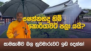 කොරියාවේ සිට ජාතියට ලබා දෙන විශේෂ පණිවිඩය [upl. by Hamnet367]