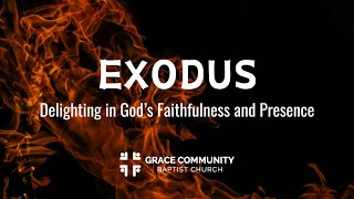 Exodus 13  quotConsecrating The Firstbornquot [upl. by Ketchan]