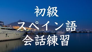 初級スペイン語会話トレーニング200  基本フレーズ聞き流し [upl. by Zora]