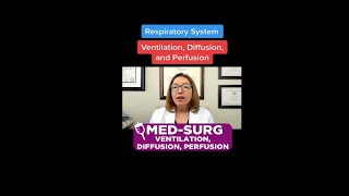 Ventilation Diffusion Perfusion MedicalSurgical SHORT  LevelUpRN [upl. by Ateiluj282]