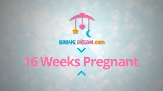 16 Weeks Pregnant  pregnancy signs and symptoms [upl. by Follmer]