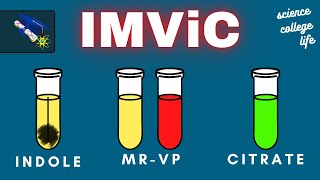 IMViC Test  Indole MRVP Citrate  Microbiology Lab [upl. by Engeddi]