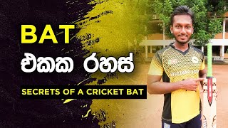 Various Parts of Cricket Bat  Fielding JayA [upl. by Intirb]