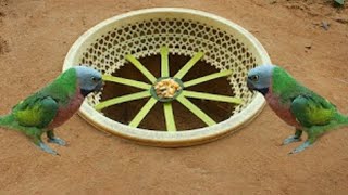 Unique Bird Trap 🕊️😱 🦜 Using Plastic Basket With Deep Hole 🕳️😱🪤 [upl. by Akimot]