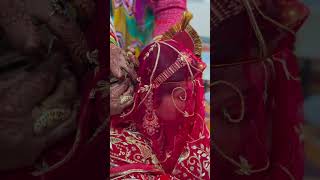 Rajput Wedding ShortsVideo  Royal Rajput Baisaraj [upl. by Dewar]