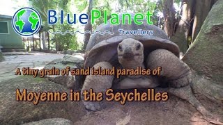 Moyenne Island Seychelles Indian ocean [upl. by Tyrus]