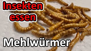 Wir essen Mehlwürmer 🐛 Lecker oder megalecker Ob Rico kotzt Insekten essen Teil 1 snackinsects [upl. by Atiniv]