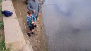 Poway Lake Fishing Carp and Catfish [upl. by Amelita]