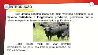 231  MANEJO E CRIAÇÃO DE BUBALINOS PARTE I  NBAZ  1º ANO EM  AULA 2312023 [upl. by Reld938]