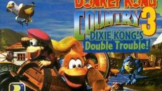 Donkey Kong Country 3  Crystal Chasm [upl. by Enetsirhc]