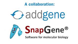 Improved Plasmid Maps Powered by SnapGene [upl. by Ynnor]