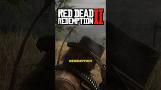 Top Incredible Details in RDR2 [upl. by Adneral]