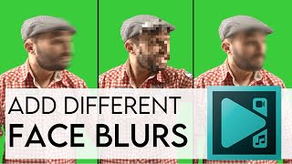 How to Make Different Face blur Motion Gaussian Pixelized in VSDC Video Editor  Pure Unqiue Pro [upl. by Arehc]