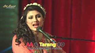 Der Zorawar Dey Janan  Nazia Iqbal Pashto Song  Pushto Hit Song [upl. by Grussing135]