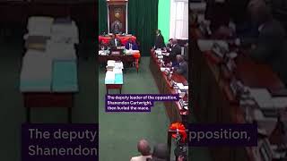 Watch the moment a ceremonial mace is thrown out of the window in Bahamas parliament [upl. by Anauqahc]