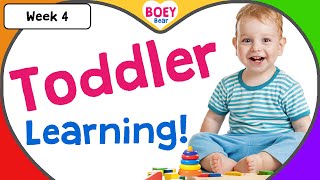 Educational Videos for Toddlers  2 year old 3 year old 4 year old Learning Videos with Boey Bear [upl. by Tracay]