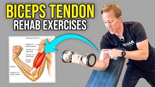 2 Biceps Tendonitis Exercises [upl. by Aihsyak]