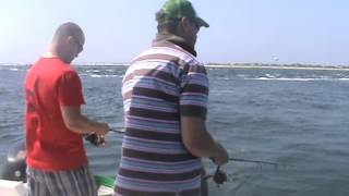 Hi Flier 9712 Light Tackle Fishing Houndfish Needlefish Live Grass Shrimping Barnegat Inlet [upl. by Quinby]