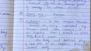 fats and oils fatty acid reactions b pharm msc chemistry hydrogenation reactions fatty acidhydrolys [upl. by Ocana639]