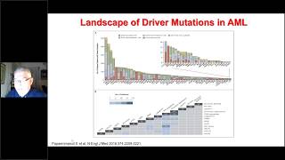 Indications for allogeneic stem cell transplantation in AML [upl. by Dnalevelc571]