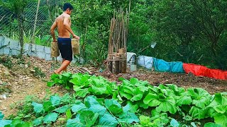 Building temporary shelters from the hot sun Build watchtowers for the vegetable garden [upl. by Milena]