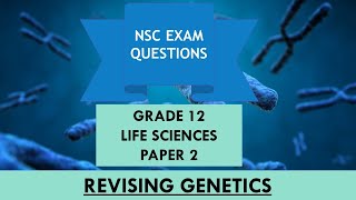 Revising Genetics amp Inheritance  Grade 12  Paper 2  NSC Exam Prep [upl. by Gnirol771]