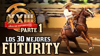 30 mejores  Caladero FUTURITY parte 1  Caladeros Millonarios 2020 THV [upl. by Saisoj]