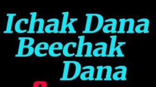 Ichak Dana beechak Dana [upl. by Godart]