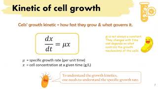 CTU lecture  microbial kinetics [upl. by Ahsercul688]