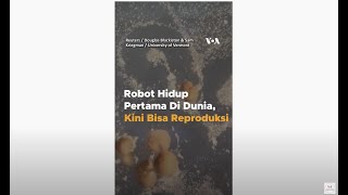 Robot Hidup Pertama Di Dunia Kini Bisa Reproduksi [upl. by Jasmin]