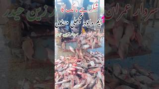 SARDAR Imran haider khan Mahoora M DAWOOD FISH MANDI FATEH JANG mandlafishshop fish fishing [upl. by Mamie]