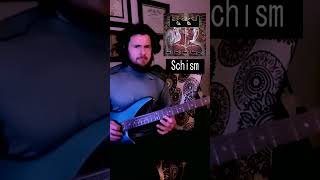 Tool Schism Intro Bass Cover Part 2 [upl. by Liddle]