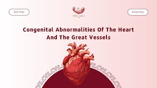 Congenital Abnormalities Of The Heart And The Great Vessels  Anatomy [upl. by Nihhi511]